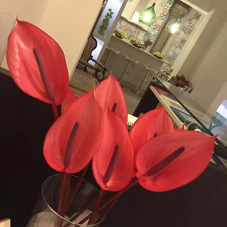 公寓式酒店 索伦托费拉特斯酒店