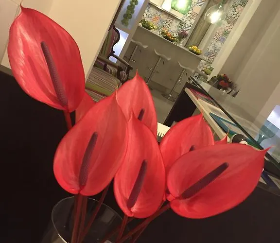 מלון דירות Flats